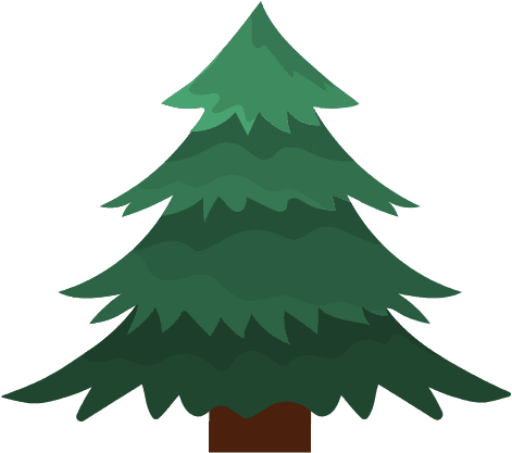 Natural Pine Tree With Branches Design - Pine - Transparent PNG Free Download | PNGio