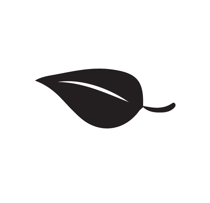 Natural And Organic Ingredients - Organic Food - Transparent PNG Free Download | PNGio