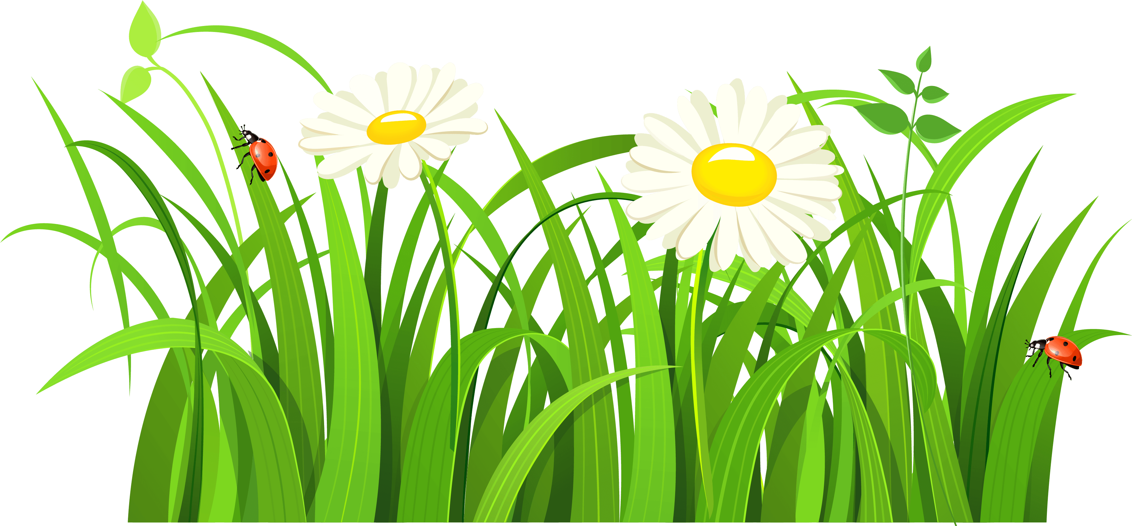 Free Clip Art Nature Trees Tree With Grass Clipart - Free Clip Art Nature Trees Tree With Grass Clipart - Transparent PNG Free Download | PNGio