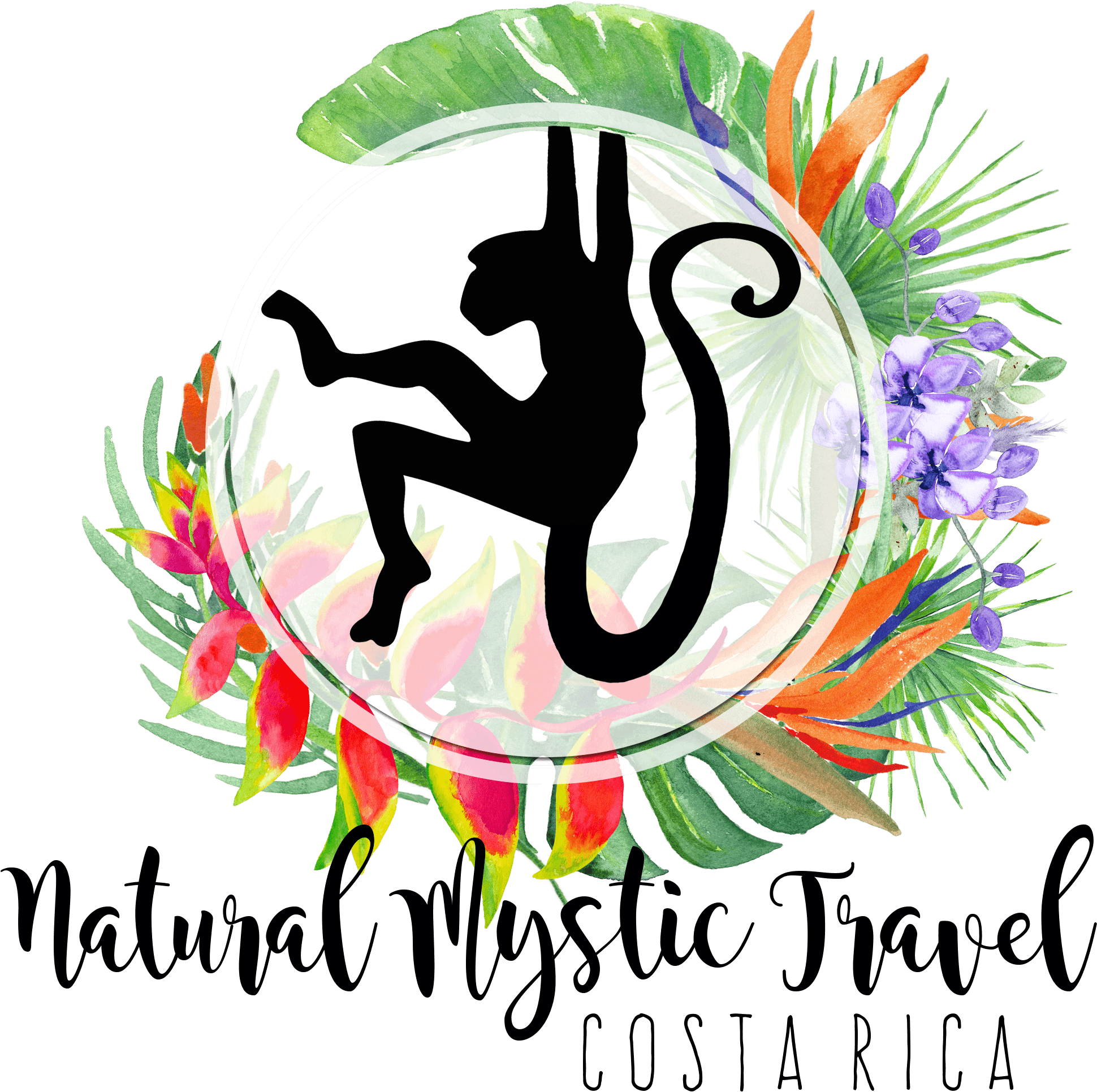 Natural Mystic Travel - Stickerbrand Nature/animals Vinyl Wall Art Safari Monkey - Transparent PNG Free Download | PNGio