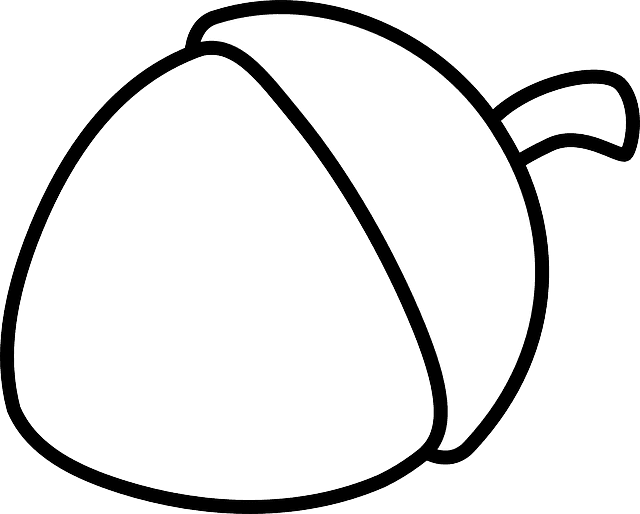 Seed Acorn, Nut, Nature, Seed - Cau Lac Bo Bong Da - Transparent PNG Free Download | PNGio