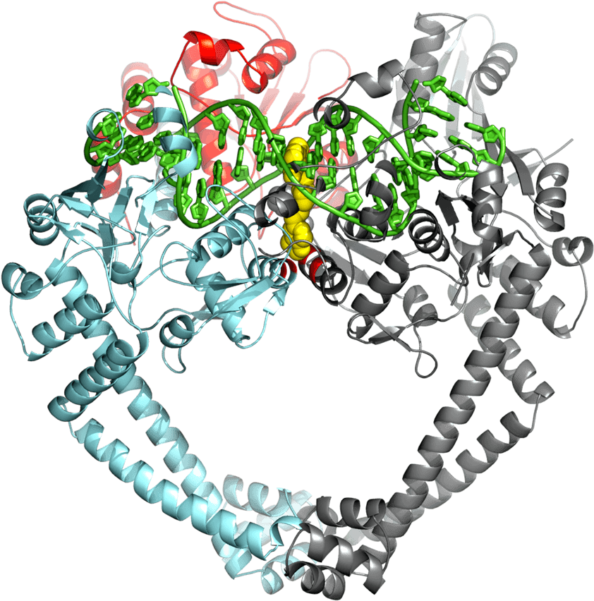 The Structure Was Published In The Journal Nature - Graphic Design - Transparent PNG Free Download | PNGio