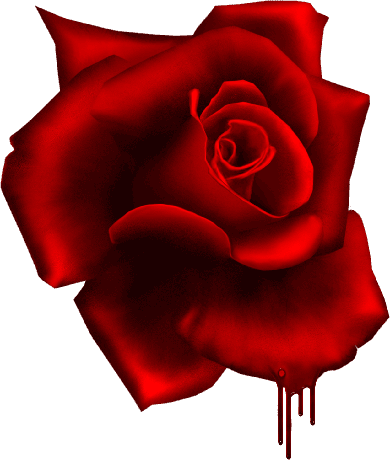 Render Rose Terreur Rouge Sang Nature Autresinconnu - Floribunda - Transparent PNG Free Download | PNGio