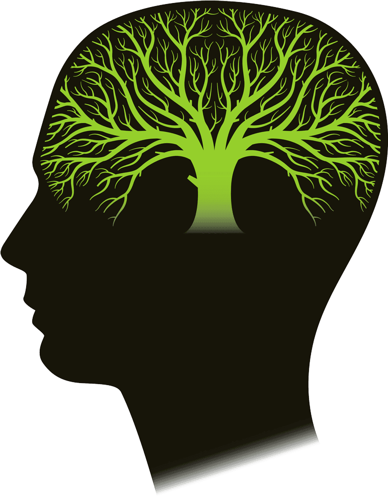 There May Be Safe, Natural Help For Children And Adults - Environmental Conservation Law Of New York, 2017 Edition; - Transparent PNG Free Download | PNGio