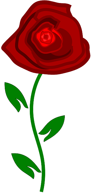 Rose, Red, Nature, Plant - Rose - Transparent PNG Free Download | PNGio