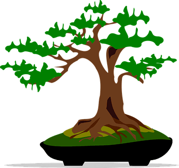 Bonsai, Clip Art, Flora, Nature, Plant - Bonsai Clip Art - Transparent PNG Free Download | PNGio