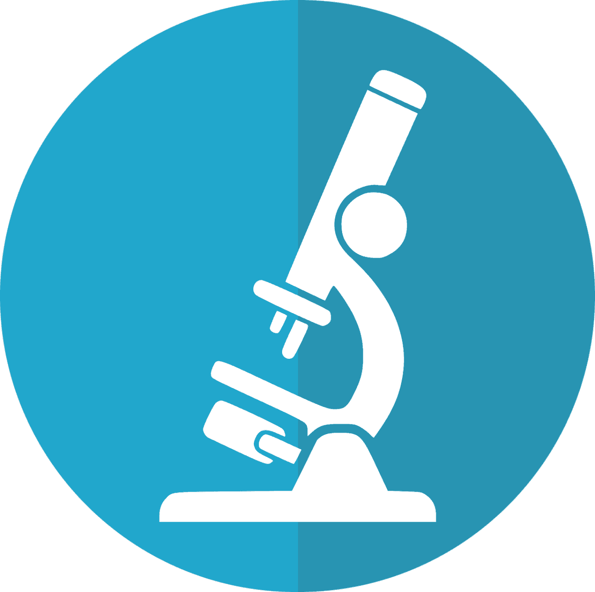 Children Are Naturally Curious - Portrait Of A Man - Transparent PNG Free Download | PNGio