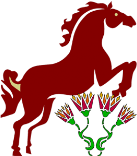 Roberts Is A Certified Equine Iridology Consultant, - Wild Horse Elementary School - Transparent PNG Free Download | PNGio