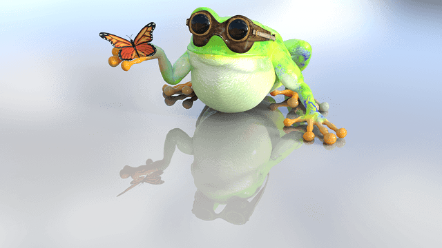 Frog, Toad, Nature, Butterfly - Sapo Con Una Mariposa - Transparent PNG Free Download | PNGio
