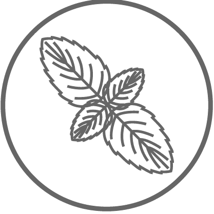 Natural Mint Leaves Help Fight Bad Breath - Snowflake - Transparent PNG Free Download | PNGio