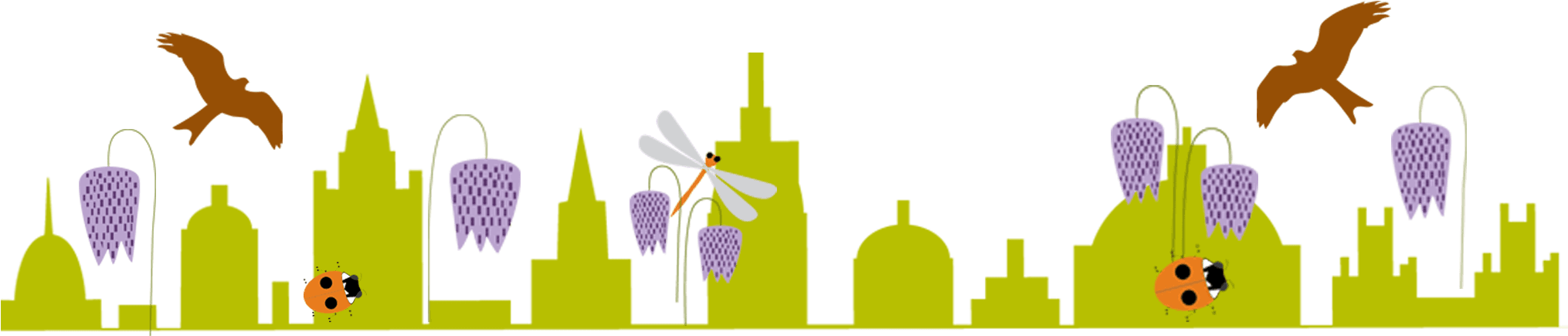 Oxford Festival Of Nature Graphics By By Rachel - Nmature Png - Transparent PNG Free Download | PNGio