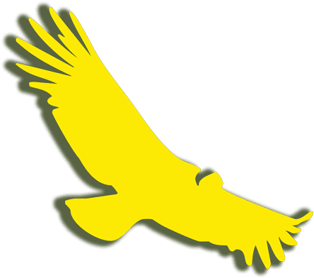 Come Feel The Power Of Nature - Golden Eagle - Transparent PNG Free Download | PNGio