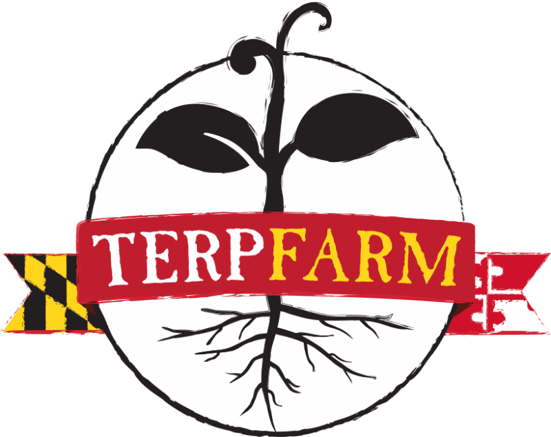 Dining Services Has Its Very Own Vegetable Farm And - Terp Farm - Transparent PNG Free Download | PNGio
