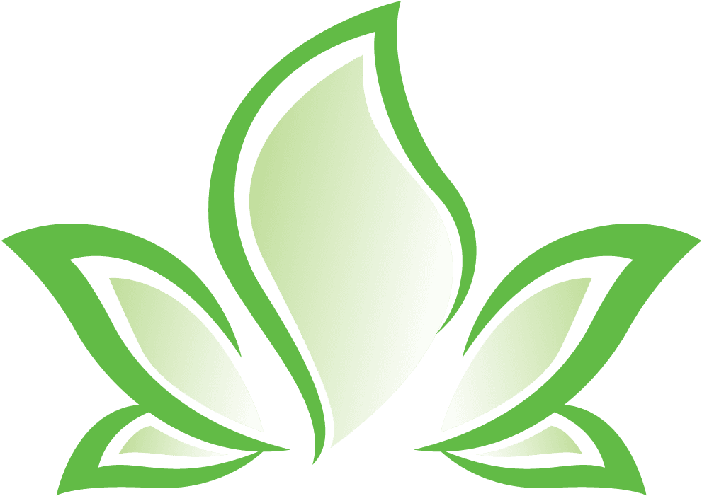 The Herbal Hour Glass - Herbal Logo Design Png - Transparent PNG Free Download | PNGio