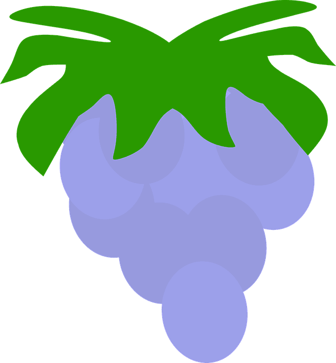 19086-fruit Owocostan A Single Piece Of Fruit Nature - Fruit - Transparent PNG Free Download | PNGio