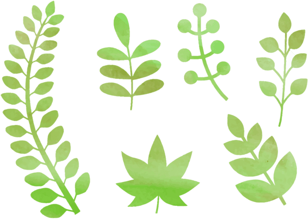 Free Watercolor Natural Elements - Watercolor Painting - Transparent PNG Free Download | PNGio