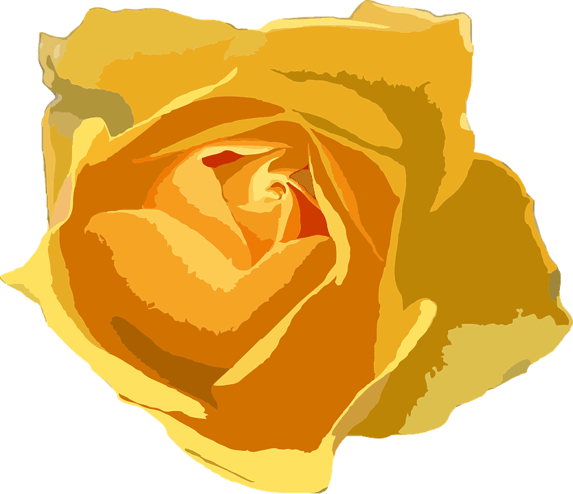 Flower Floral Botanical Plant Nature Botan - Free Flower Vectors Yellow - Transparent PNG Free Download | PNGio