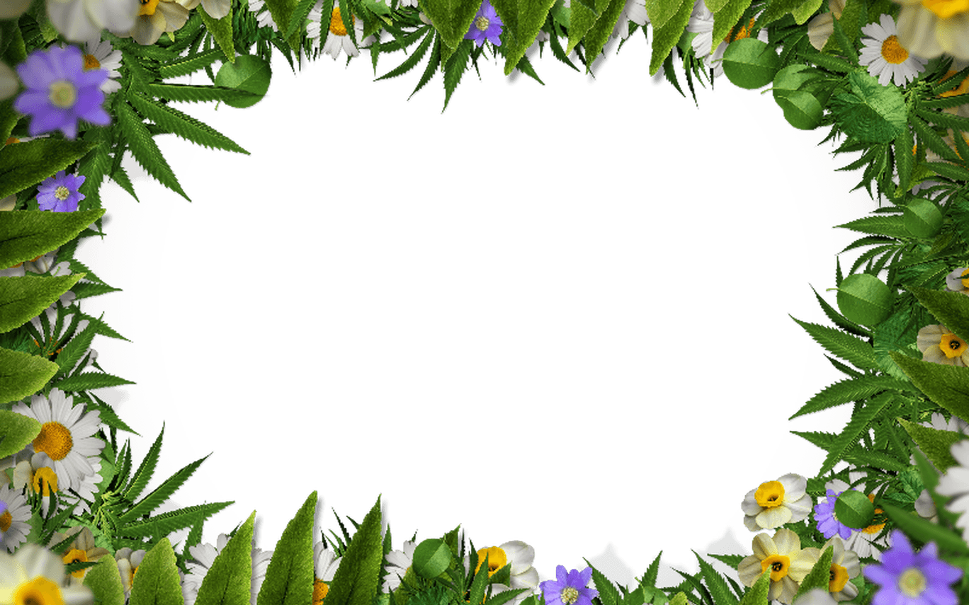 Flower Frame Border Png With Green Leaves Background - Spring Border Transparent Background - Transparent PNG Free Download | PNGio