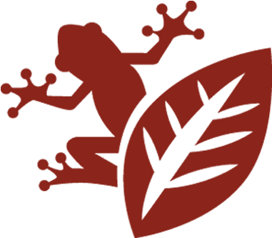 Natural Capital - Plucked String Instrument - Transparent PNG Free Download | PNGio