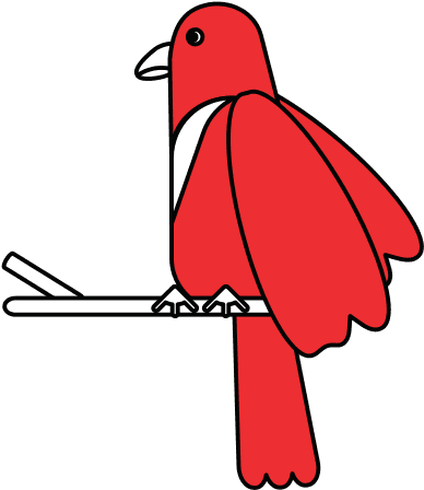 Exotic Natural Bird - Exotic Natural Bird - Transparent PNG Free Download | PNGio