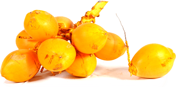 Compared With Varieties Of Aerated Water That Are Usually - Yellow Coconut Water - Transparent PNG Free Download | PNGio