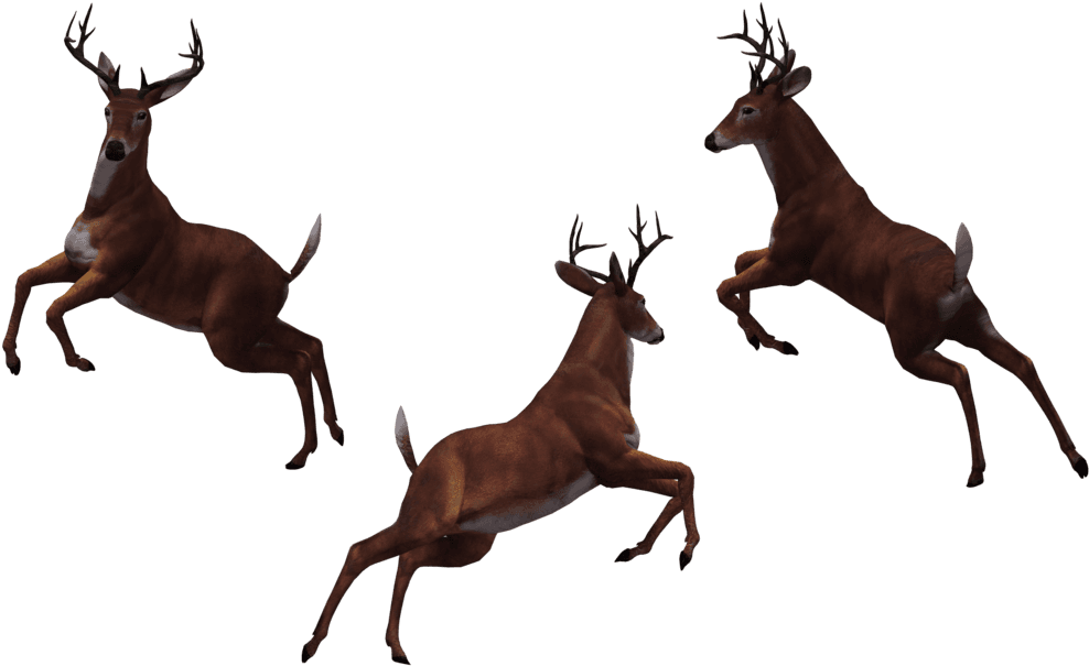 Image - Eat More Fast Food - Transparent PNG Free Download | PNGio