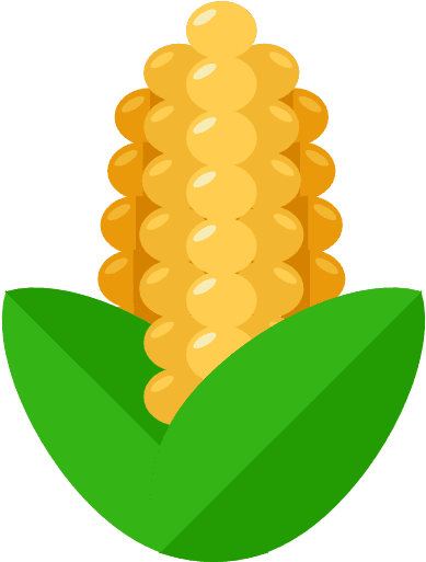 The Best Foods For Baby Led Weaning - Food - Transparent PNG Free Download | PNGio