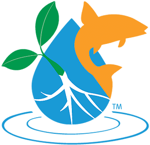 Innovative - Water - Food - Transparent PNG Free Download | PNGio