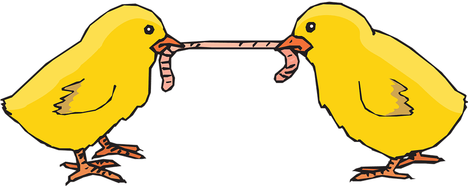 Chicks, Worm, Eating, Feeding, Poultry - Animals Fighting For Food Cartoon - Transparent PNG Free Download | PNGio