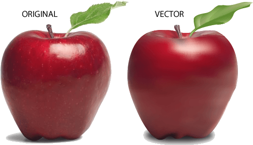 Adobe Illustrator Vector Apple - Advantages Of Raw Food - Transparent PNG Free Download | PNGio