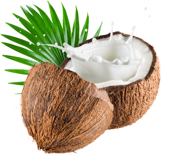 Орех, Кокос, Walnut, Coconut, Walnuss, Kokosnuss, Noix, - Z Natural Foods Coconut Milk Powder 5 Lbs - Transparent PNG Free Download | PNGio