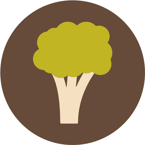 Starts To Wean - Food - Transparent PNG Free Download | PNGio