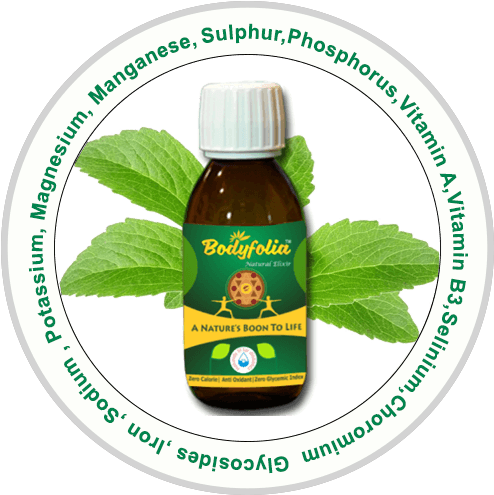 Welcome To Bodyfolia - Natural Foods - Transparent PNG Free Download | PNGio