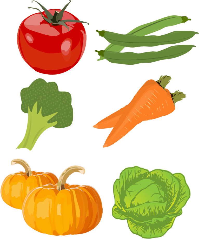 Fast Foods - Food Group - Transparent PNG Free Download | PNGio
