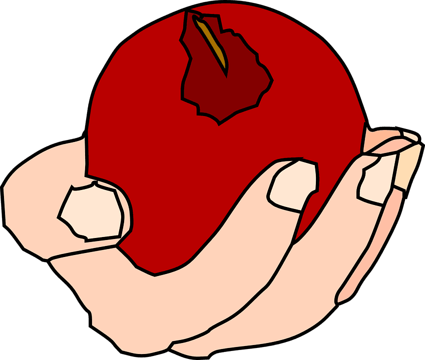 Red Apple Cliparts 29, Buy Clip Art - Hand Holding Food Transparent - Transparent PNG Free Download | PNGio