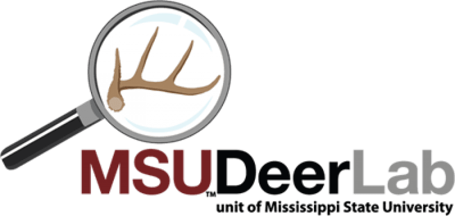 Once - Food Plot - Transparent PNG Free Download | PNGio