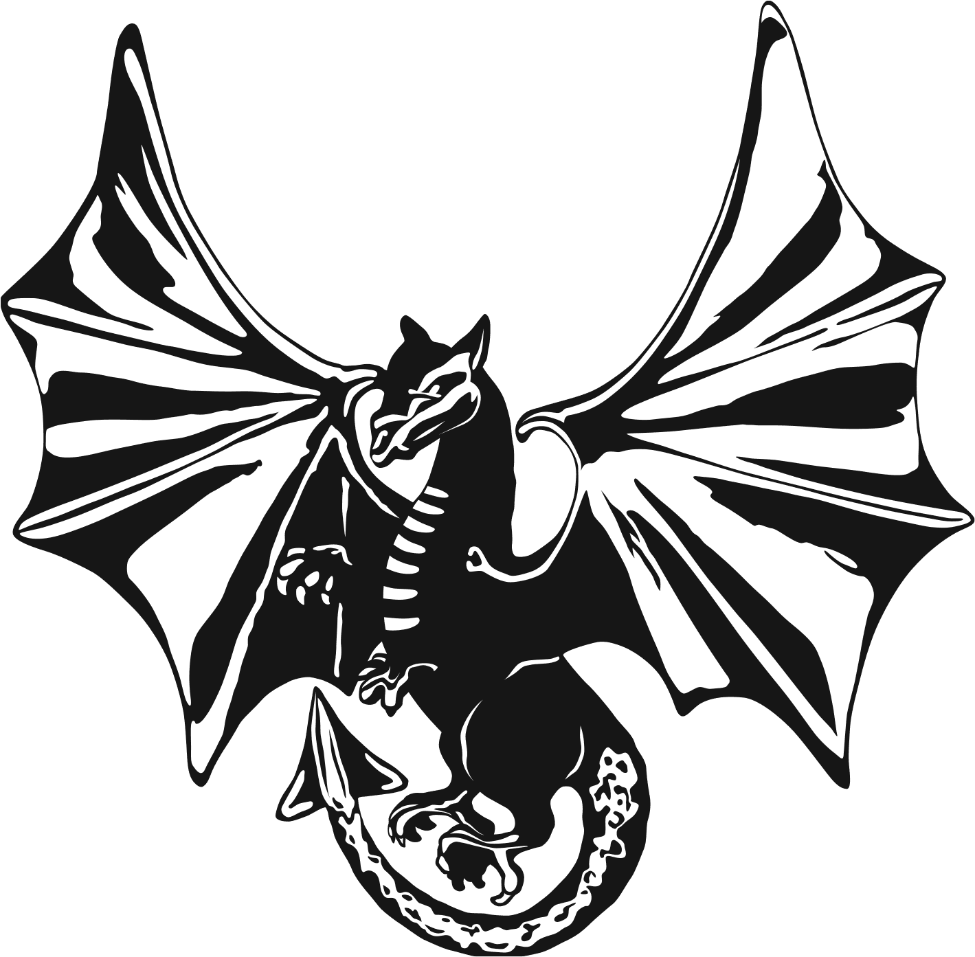 Dragon Drone Training - Unmanned Aerial Vehicle - Transparent PNG Free Download | PNGio