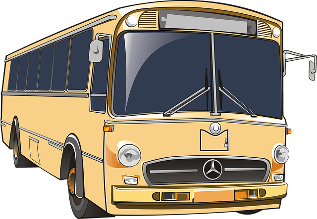Vehicles, Vehicle, Bus, Coach, Automobile, Truck - Vehicle - Transparent PNG Free Download | PNGio