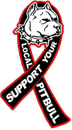 Pitbull Decals Vehicle Ma - Pitbull Dog Head Sticker - Transparent PNG Free Download | PNGio