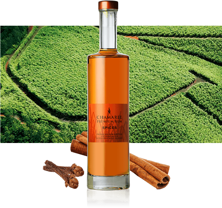 Spice Bottle Bg - Unmanned Aerial Vehicle - Transparent PNG Free Download | PNGio