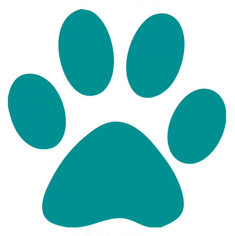 Custom Cat Paw Car Magnets - Dog Paw Print Teal - Transparent PNG Free Download | PNGio