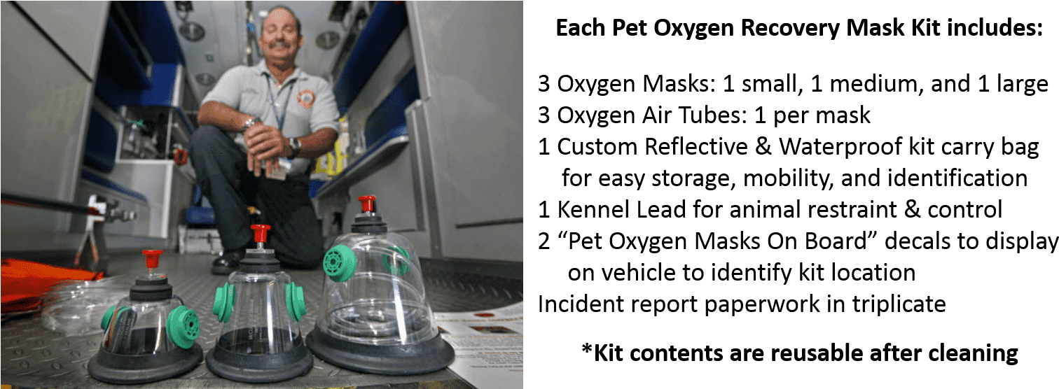 Many Agencies Have Budget Restrictions That Prohibit - Mask - Transparent PNG Free Download | PNGio