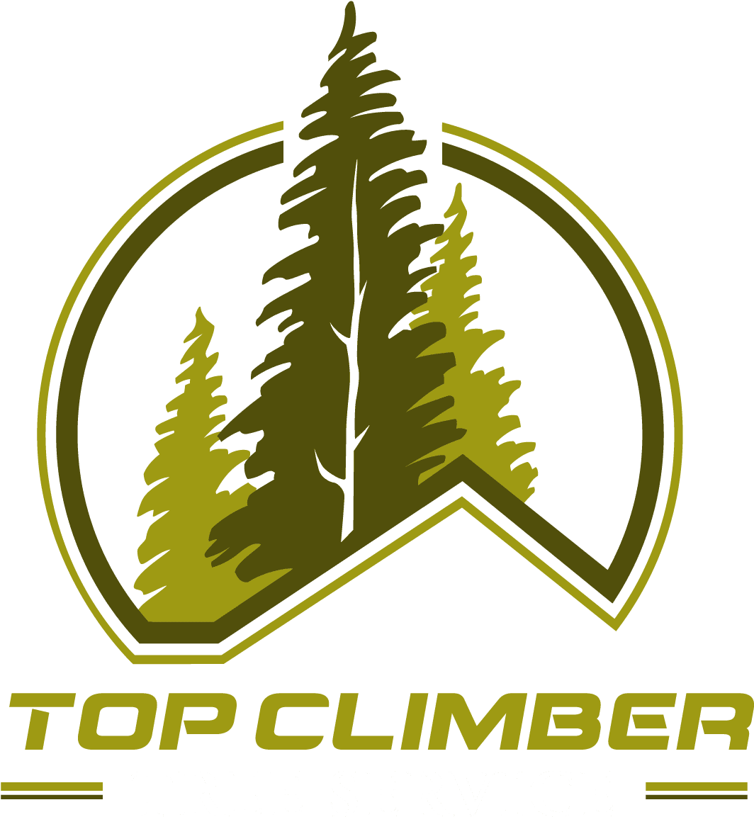 Logo Design Stargrafix Marketing Vehicle Wraps And - Logo Pine - Transparent PNG Free Download | PNGio