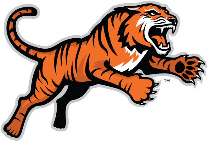 Alternative Logos - Rochester Institute Of Technology - Transparent PNG Free Download | PNGio