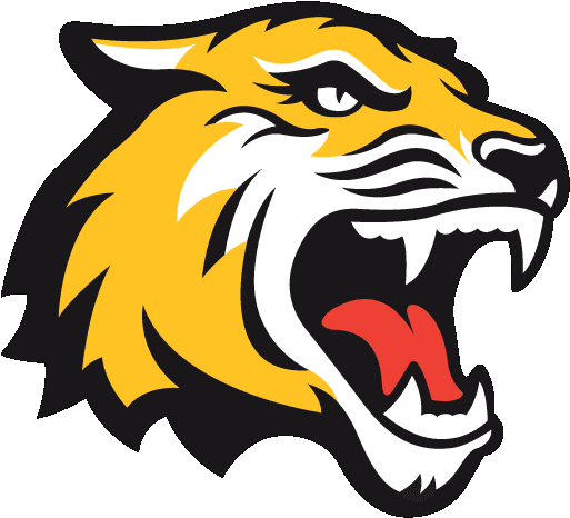 Golden Triangle With Tigers - Rochester Institute Of Technology - Transparent PNG Free Download | PNGio