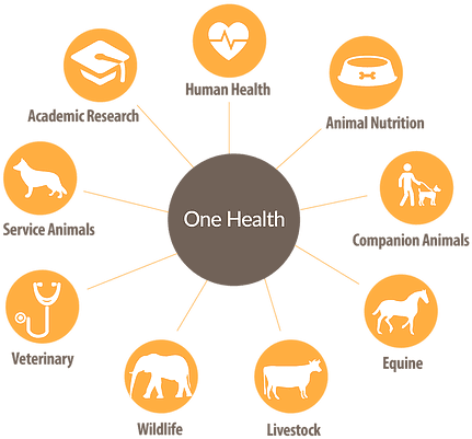 The Voyce Health - Health Technology - Transparent PNG Free Download | PNGio