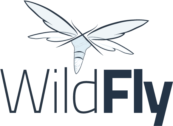 Java Ee 7 - Jboss Wildfly - Transparent PNG Free Download | PNGio