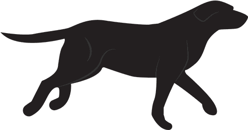 Labrador Technologies - Website - Transparent PNG Free Download | PNGio