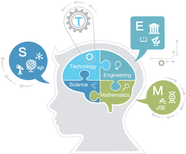 The Role Of Science Technology Engineering And Math - Illustration - Transparent PNG Free Download | PNGio