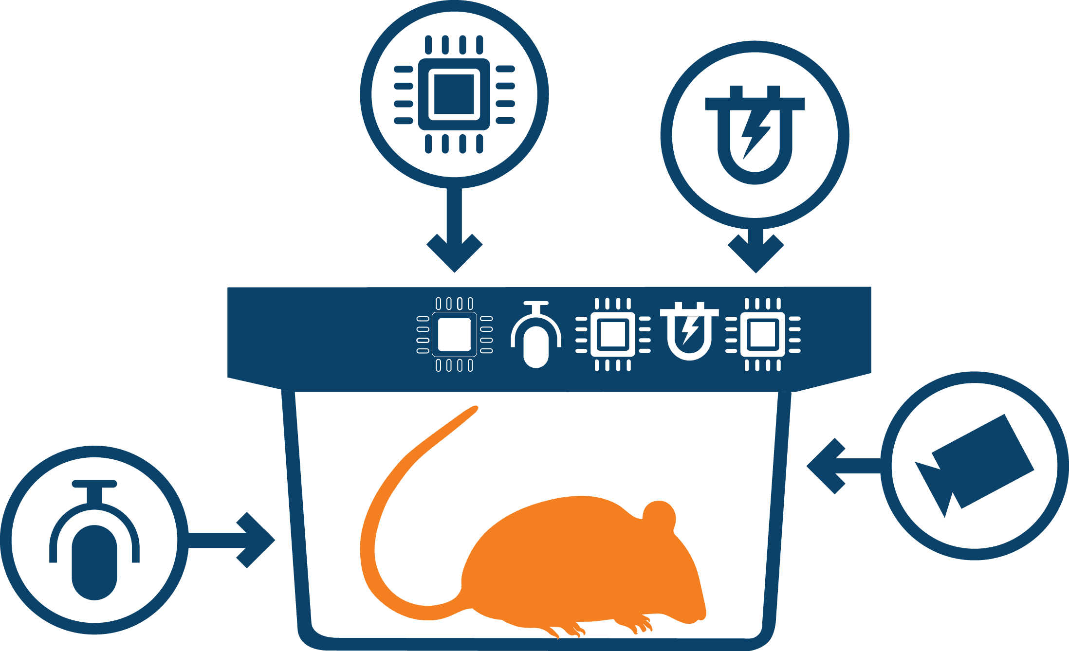 Partners Have The Opportunity To Influence, Shape, - Partners Have The Opportunity To Influence, Shape, - Transparent PNG Free Download | PNGio
